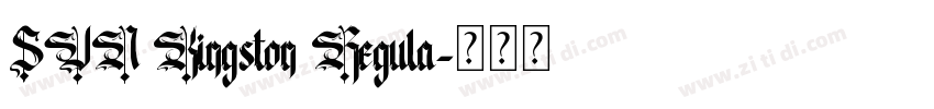 SVN Kingston Regula字体转换